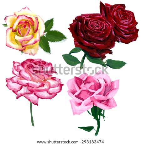 hand painted roses isolated