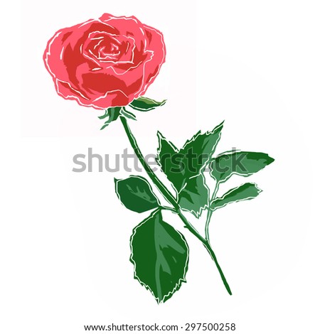 Rose flower illustration