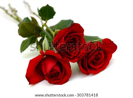 Bouquet of red rose flowers