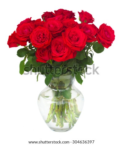 bunch of scarlet red  fresh roses  in vase  isolated on white background