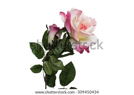 Artificial pink rose , Isolated on white background