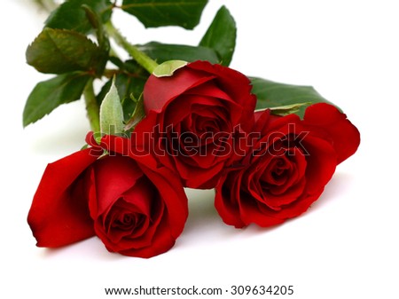 Bouquet of rose flowers isolated on white background