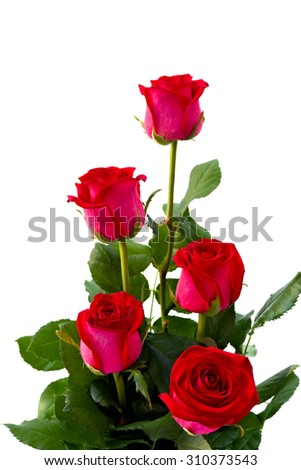 Red roses on a white background 
