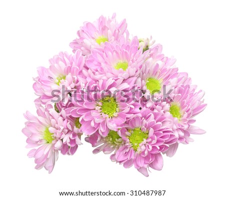 Bouquet of chrysanthemum