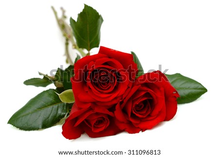 Bouquet of red rose flowers isolated on white background