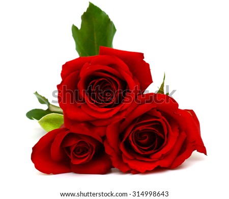 Bouquet of red rose flowers isolated on white background