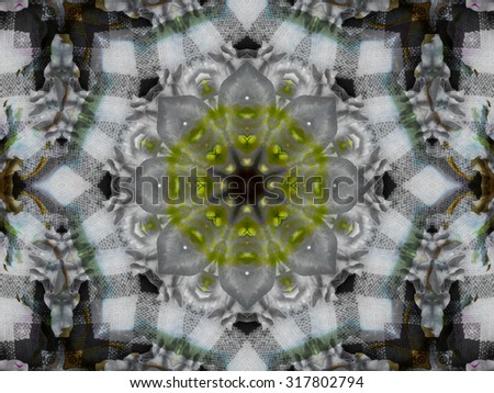 Green abstract kaleidoscope background texture, star design