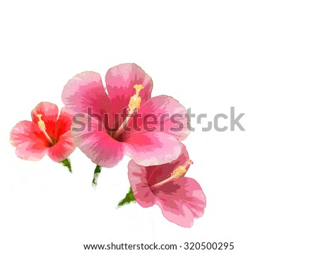 water paint Pink Hibiscus rosa-sinensis flower