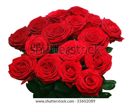 red roses  isolated
