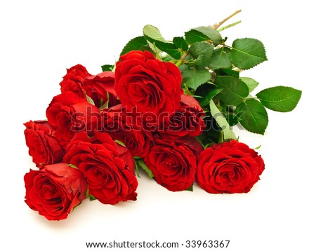 photo of the roses bouquet against the white background
