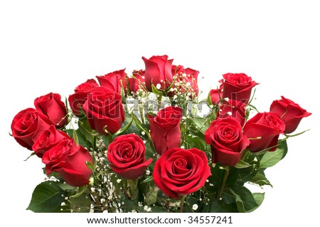 A bunch of red roses on a white background.