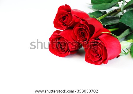 red roses laying on white background