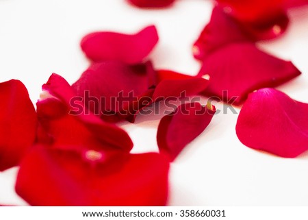 close up of red rose petals