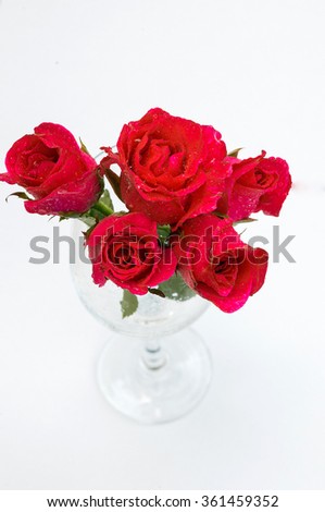 Red roses of Valentines day.