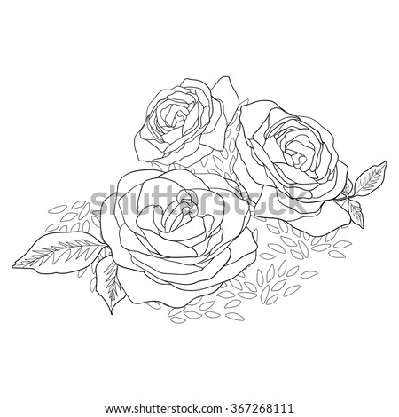 Black and white vector hand drawn  bouquet of roses.