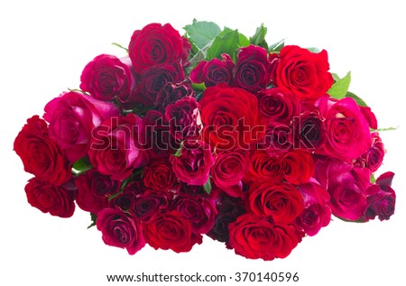 Pile  of dark pink and red  roses  isolated on white background