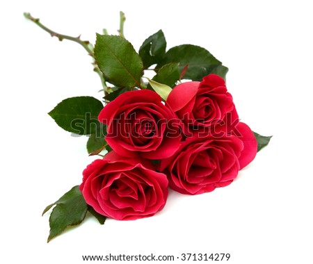 beautiful Bouquet of red rose flowers isolated on white background