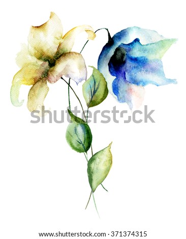 Stylized Lily flowers, watercolor illustration
