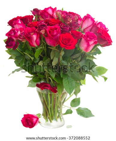 Bunch of fresh pink and red  roses in glass vase  isolated on white background