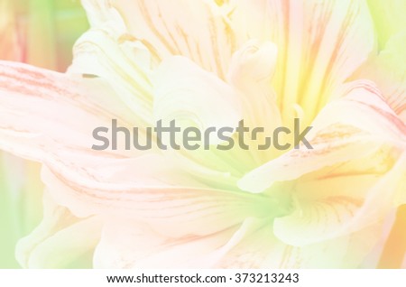 lily flower abstract blurred soft focus filter color, vintage style for background