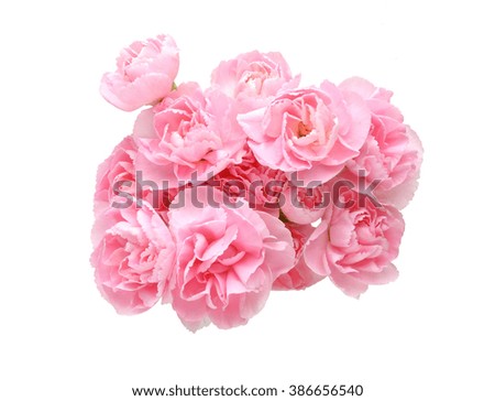 Bouquet of carnation 