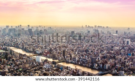 Panoramic aerial view of Tokyo in Japan at sunset