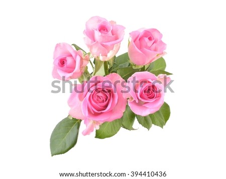 Pink roses isolated on white background. Bouquet of flowers.