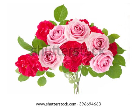 Red and pink rose flowers bunch isolated on white background