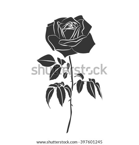 silhouette of rose isolated on white background. Vector illustration.