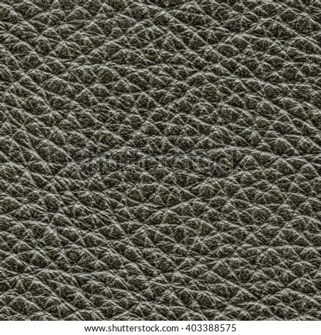 gray-green leather texture closeup. Useful for background