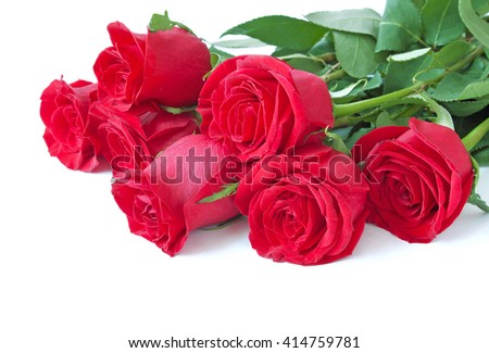 Red rose flowers bunch isolated on white background