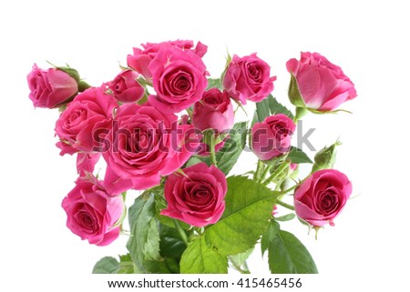 Bouquet of small pink roses isolated on white background