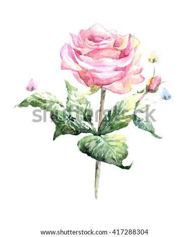 Watercolor  beautiful rose with colorful butterflies isolated on white background,