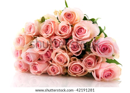 Bouquet pink roses in bunch isolated over white