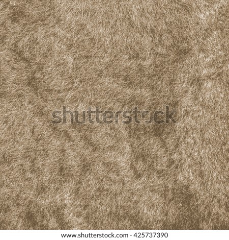 light brown natural fur texture