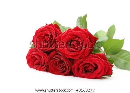 Fine roses