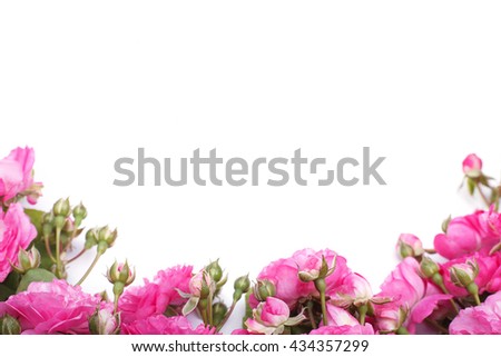 Frame of pink roses on a white background
