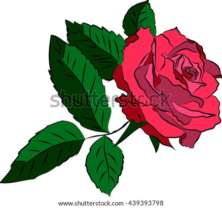 Hand drawn vector floral illustration. Rose flower. 