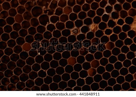 Golden honeycomb