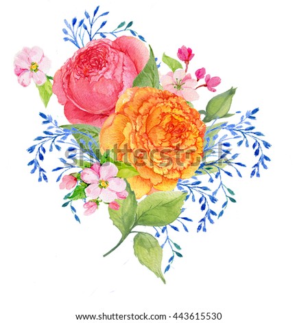 flowers roses.illustration watercolor


