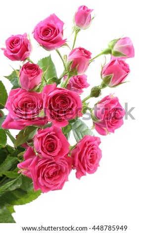 Bouquet of small pink roses isolated on white background