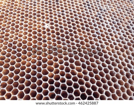 Texture of honeycomb