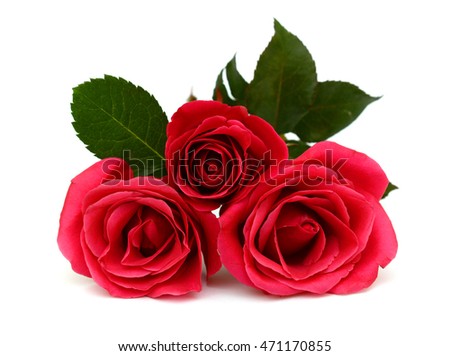 beautiful Bouquet of red rose flower isolated on white background