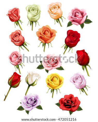Collection of different roses. Vector.