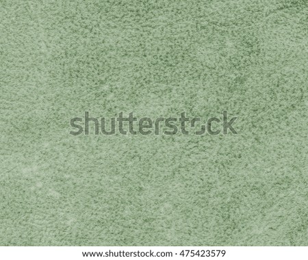 painted green fragment of wrong side of tanned cowhide closeup..Useful as background