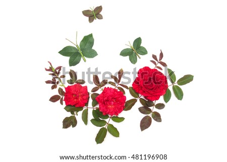 A beautiful bouquet of red flowers roses with butterfly isolated on white background. Floristics. Greeting. Summer. Spring. Flat lay, top view