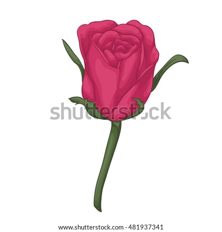 beautiful red rose with effect watercolor isolated on white background. for greeting cards and invitations of the wedding, birthday, Valentine's Day, mother's day and other seasonal holidays