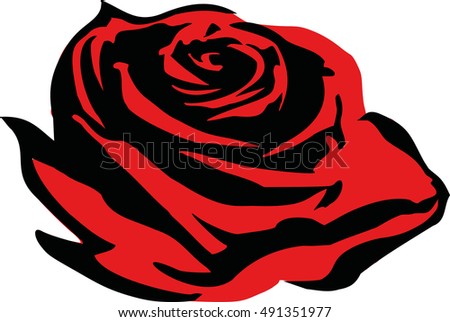 Romantic rose flower