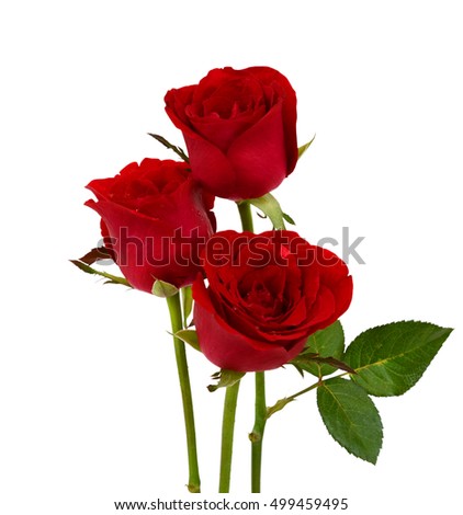 beautiful Bouquet of red rose flowers isolated on white background