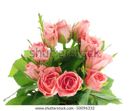 Romantic bunch of pink roses